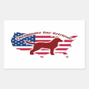 Chesapeake Bay Retriever Rechteckiger Aufkleber