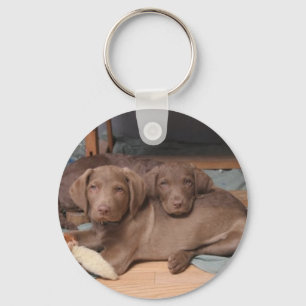 Chesapeake Bay-Retriever Schlüsselanhänger