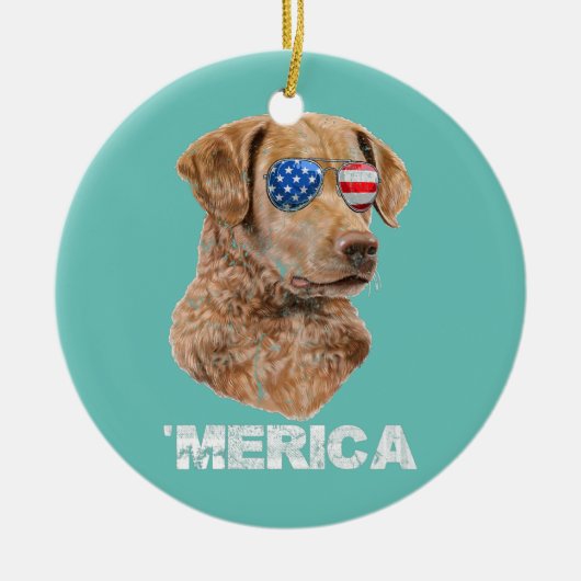 Chesapeake Bay Retriever Sunglasses American USA Keramik Ornament (Vorne)