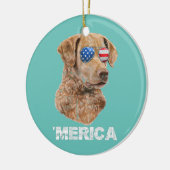 Chesapeake Bay Retriever Sunglasses American USA Keramik Ornament (Links)