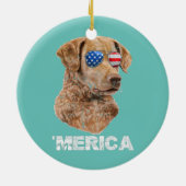 Chesapeake Bay Retriever Sunglasses American USA Keramik Ornament (Hinten)