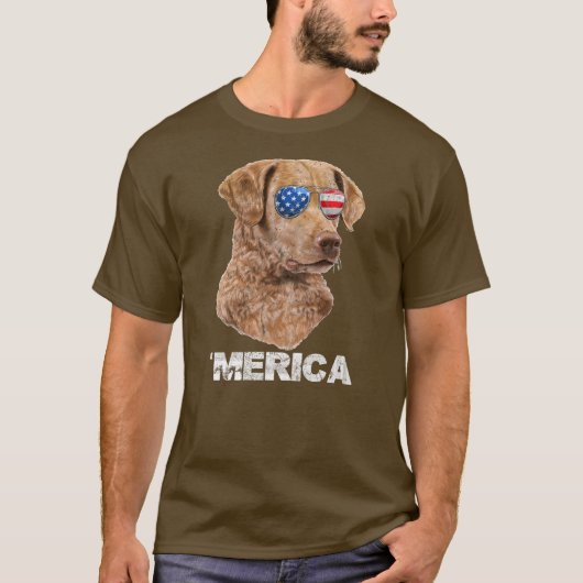Chesapeake Bay Retriever Sunglasses American USA T-Shirt (Vorderseite)
