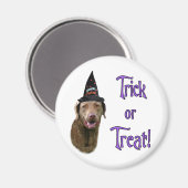 Chesapeake Bay Retriever Trick Magnet (Vorderseite/Rückseite)