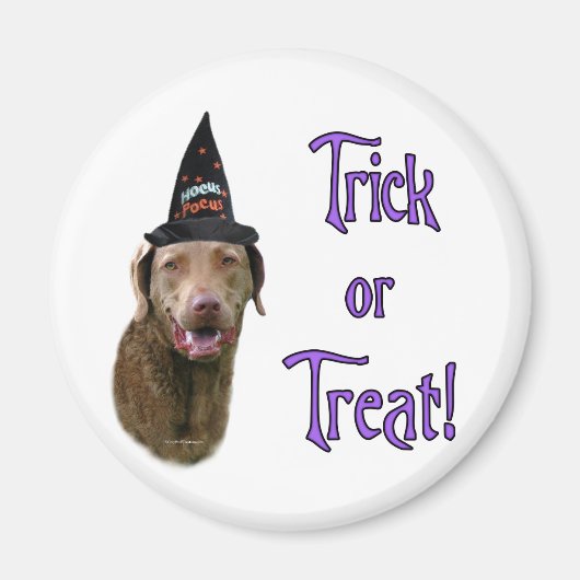 Chesapeake Bay Retriever Trick Magnet (Vorne)