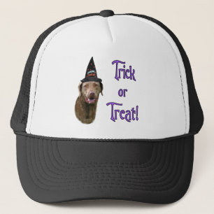 Chesapeake Bay Retriever Trick Truckerkappe