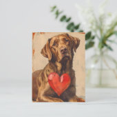 Chesapeake Bay Retriever Vintag Valentinstag Postkarte (Stehend Vorderseite)