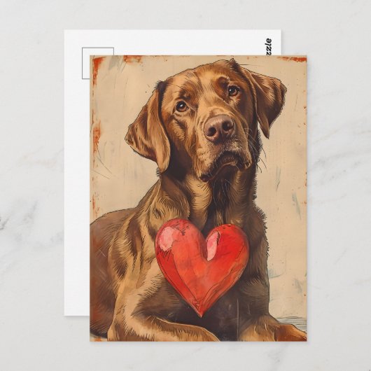 Chesapeake Bay Retriever Vintag Valentinstag Postkarte (Vorne/Hinten)