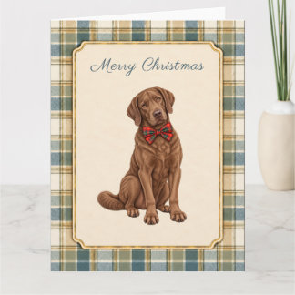 Chesapeake Bay Retriever Weihnachten Karte