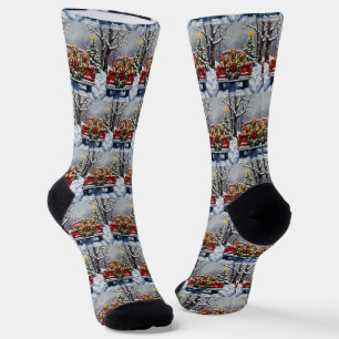 Chesapeake Bay Retriever Weihnachten Roter LKW  Socken