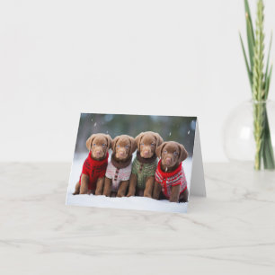 Chesapeake Bay Retriever Welpen Weihnachtskarte Karte