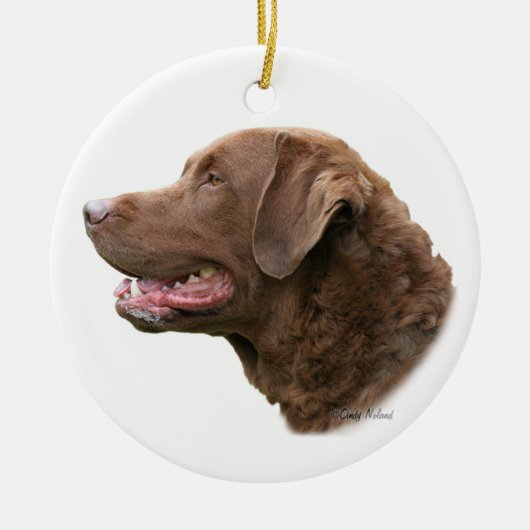 Chesapeake Bay-Retrieververzierung Keramik Ornament (Vorne)