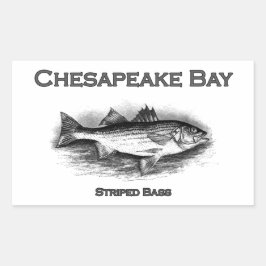 Chesapeake Bay Streifen Bass Rechteckiger Aufkleber