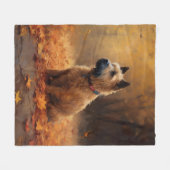 Chesapeake Bay Terrier im Herbst Verlassen Fleecedecke (Vorderseite (Horizontal))