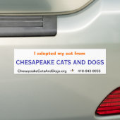 Chesapeake-Katzen-und HundeAutoaufkleber Autoaufkleber (Auf Auto)