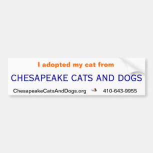 Chesapeake-Katzen-und HundeAutoaufkleber Autoaufkleber