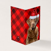 Chesapeake Retriever Karierter Weihnachtsfeiertag (Vorderseite)