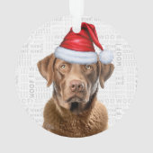 Chesapeake Retriever mit Name und Foto Weihnachten Ornament (Rückseite)