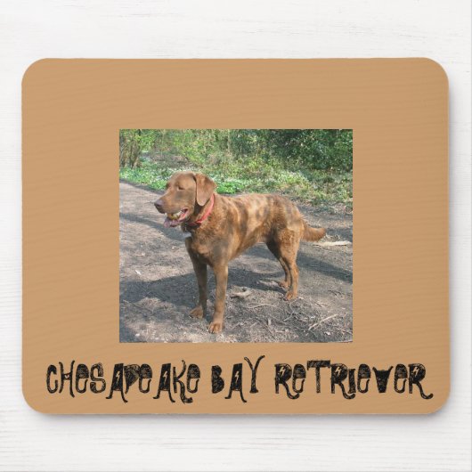 Chesapeakebay Retriever Mousepad (Vorne)