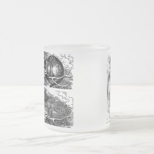 Cheshire cat , “ Alice in Wonderland ” Mattglastasse (Mittel)