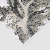 Cheshire Cat Alice Wonderland Classic Seidenpapier (Ausschnitt)