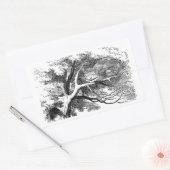 Cheshire Cat Versteckt in einem Baum Rechteckiger Aufkleber (Umschlag)