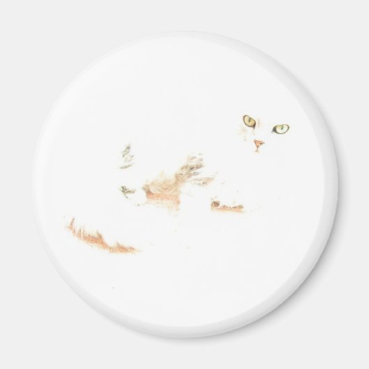 Cheshire Kitten Magnet (Vorne)