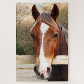 CHESNUT HORSE PUZZLE (Vertikal)