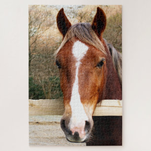 CHESNUT HORSE PUZZLE