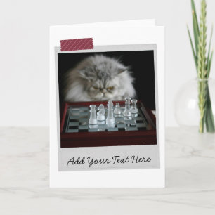 Chess Player Cat Funny Card Karte