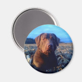 Chessie Magnet (Vorderseite/Rückseite)