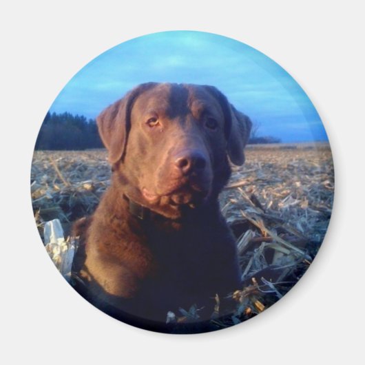 Chessie Magnet (Vorne)