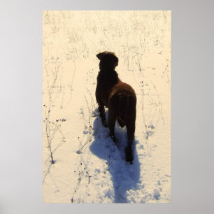 Chessie Poster