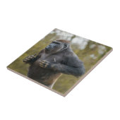 Chest Beating Gorilla Fliese (Seite)