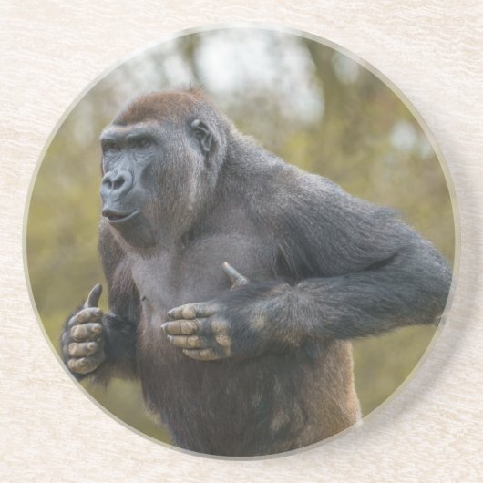 Chest Beating Gorilla Getränkeuntersetzer (Vorne)