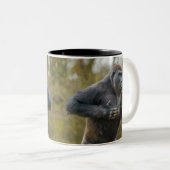 Chest Beating Gorilla Zweifarbige Tasse (VorderseiteRechts)