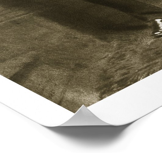 Chester A. Arthur, 21. Präsident der Vereinigten S Poster (Ecke)