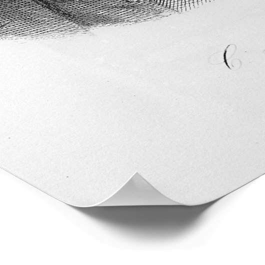 Chester Alan Arthur , graviert von A. Weger Poster (Ecke)