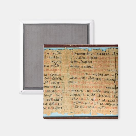 Chester Beatty Medical Papyrus Magnet (Vorderseite/Rückseite)