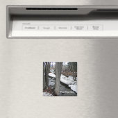 Chester Creek Magnet (In Situ (Geschirrspüler))