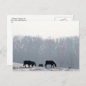 Chester-Landkreis, Pa Postkarte (Vorne/Hinten)