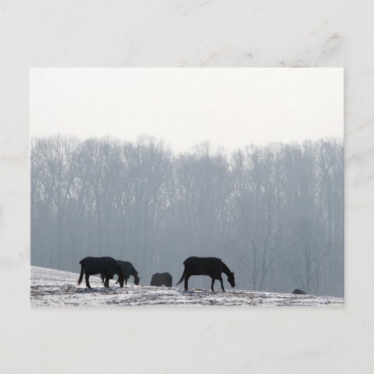 Chester-Landkreis, Pa Postkarte (Vorderseite)