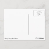 Chesterton Windmill Warwickshire Postkarte (Rückseite)