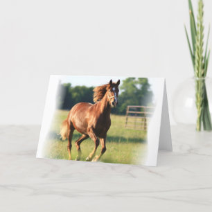Chestnut Galloping Horse Greeting Card Karte