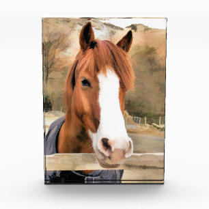CHESTNUT HORSE FOTOBLOCK