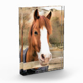 CHESTNUT HORSE FOTOBLOCK (Links)