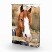 CHESTNUT HORSE FOTOBLOCK (Rechts)