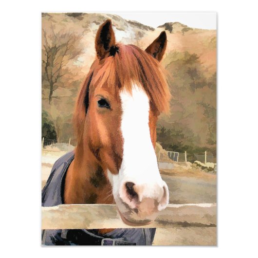 CHESTNUT HORSE FOTODRUCK (Vorne)