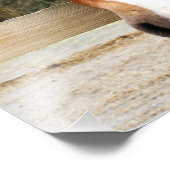 CHESTNUT HORSE FOTODRUCK (Ecke)