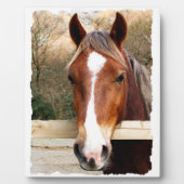 CHESTNUT HORSE FOTOPLATTE (Vorderseite)