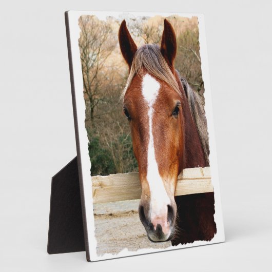 CHESTNUT HORSE FOTOPLATTE (Seite)